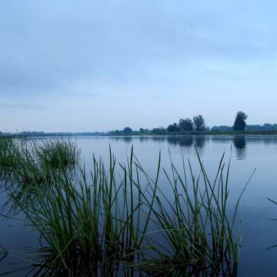 „Rybnie” w Słubicach