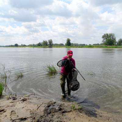 „Rybnie” w Słubicach
