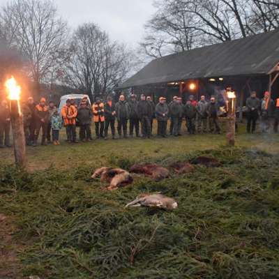 Polowanie wigilijne